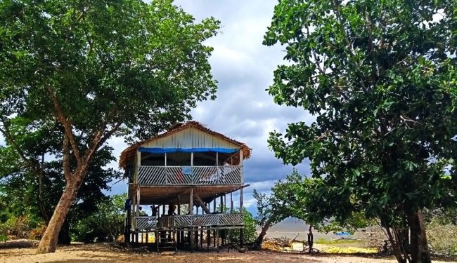 Coronavirus e viagens: Floresta Nacional do Tapajós